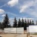 Ёлки перед входом на МКК в городе Долгопрудный