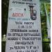 Парк в городе Борзя