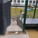 Лестница стилобата в городе Москва