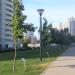 Аллея с именными деревьями в городе Москва