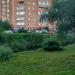 Овраг в городе Одинцово