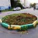 Цветочная клумба в городе Томилино