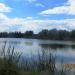 Pond