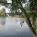 Тонковское водохранилище в городе Кольчугино