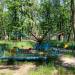 Аттракцион «Цепная карусель» в городе Железногорск