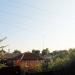 Лесополоса в городе Славянск