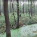 Заболоченная территория в городе Москва