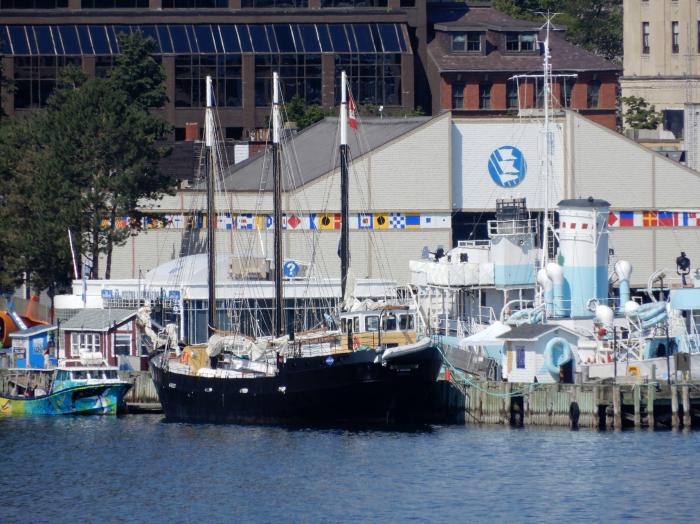 Tall Ship "Silva" - Halifax | Sailboat