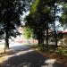 Park in Leszno city