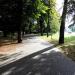 Park in Leszno city