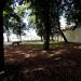 Park in Leszno city