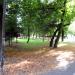 Park in Leszno city