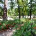 Pieszy most in Leszno city