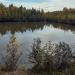 Пруд в городе Комсомольск-на-Амуре