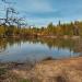 Пруд в городе Комсомольск-на-Амуре
