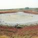 Pond