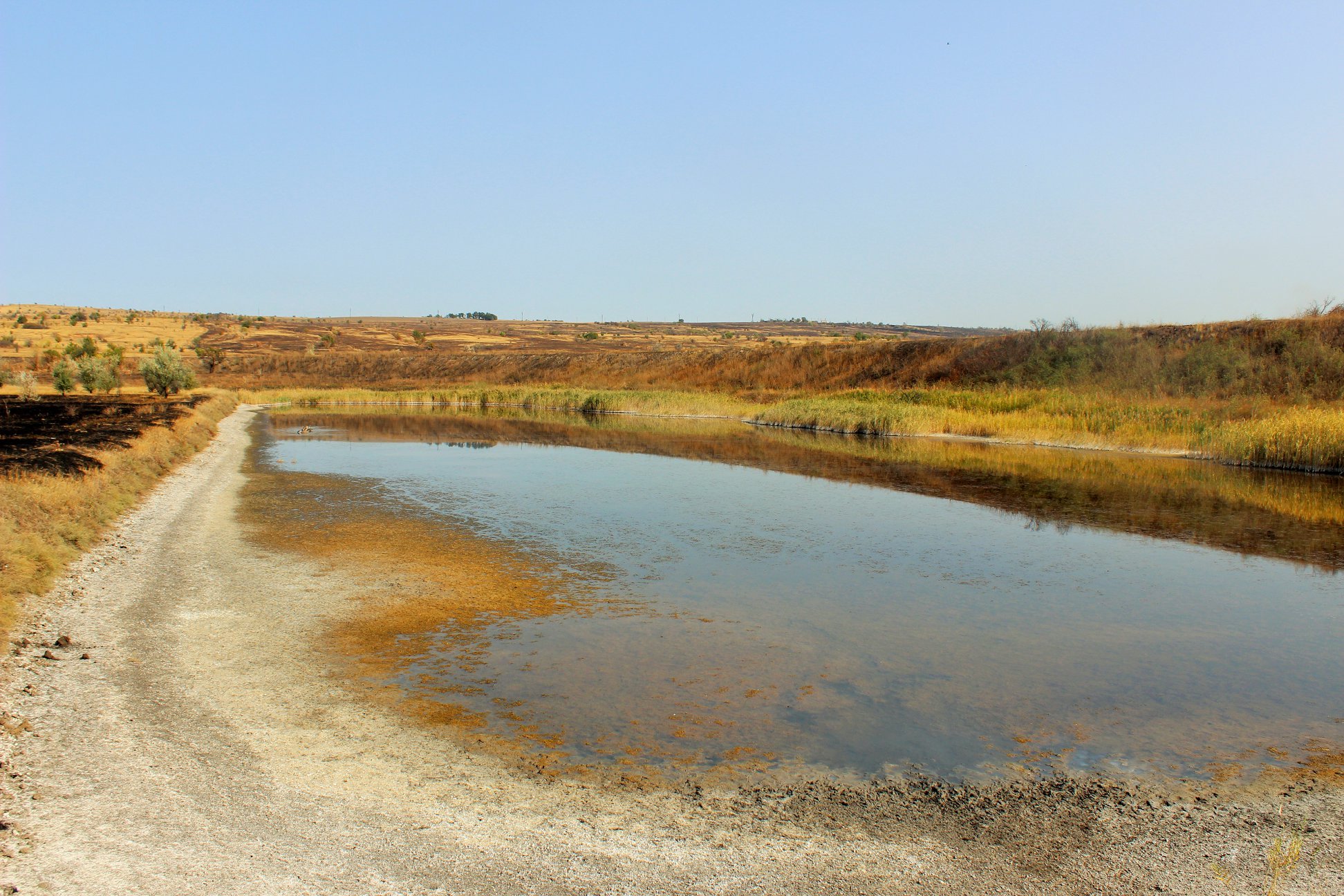Pond