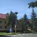 Гнездо аистов в городе Яремче