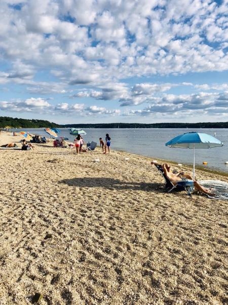 Explore West Neck Beach, Lloyd Harbor, NY: A Hidden Gem for Travelers