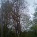 Руины (ru) in Buy city