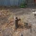 Колонка с водой в городе Славянск