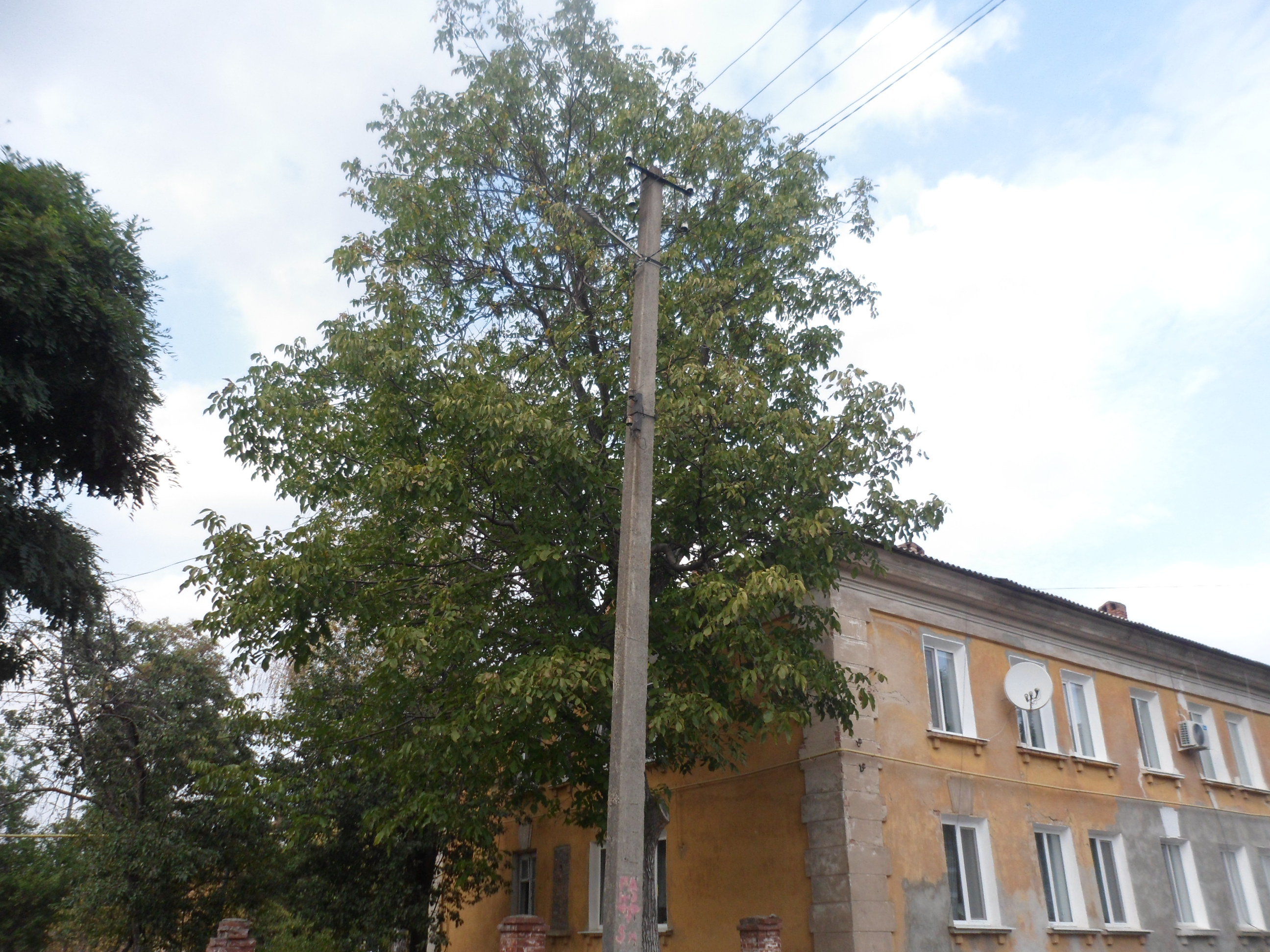 Фонарный столб - Славянск