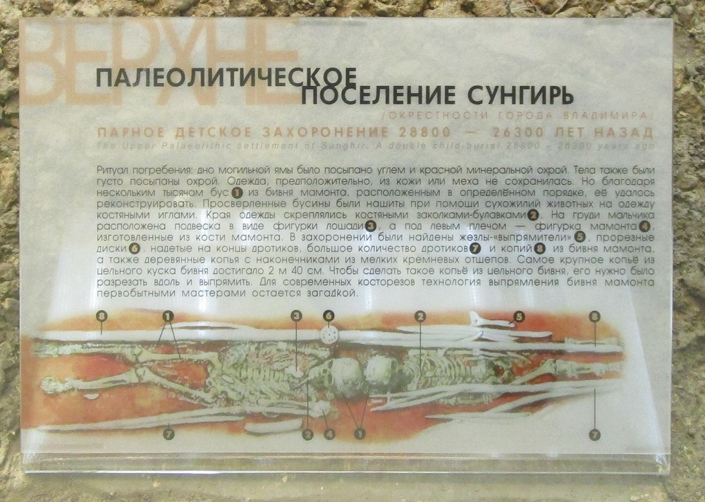 Sungir - Vladimir