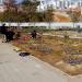 Busan Citizens Park Community Garden