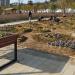 Busan Citizens Park Community Garden