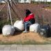 Busan Citizens Park Community Garden