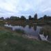 Пруд в городе Пинск