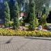 Клумба в городе Пинск