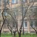 Яблоневый сад в городе Кимры