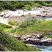 Praia da Foca na Armação dos Búzios city