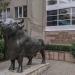 Пам'ятник бику в місті Чубинське