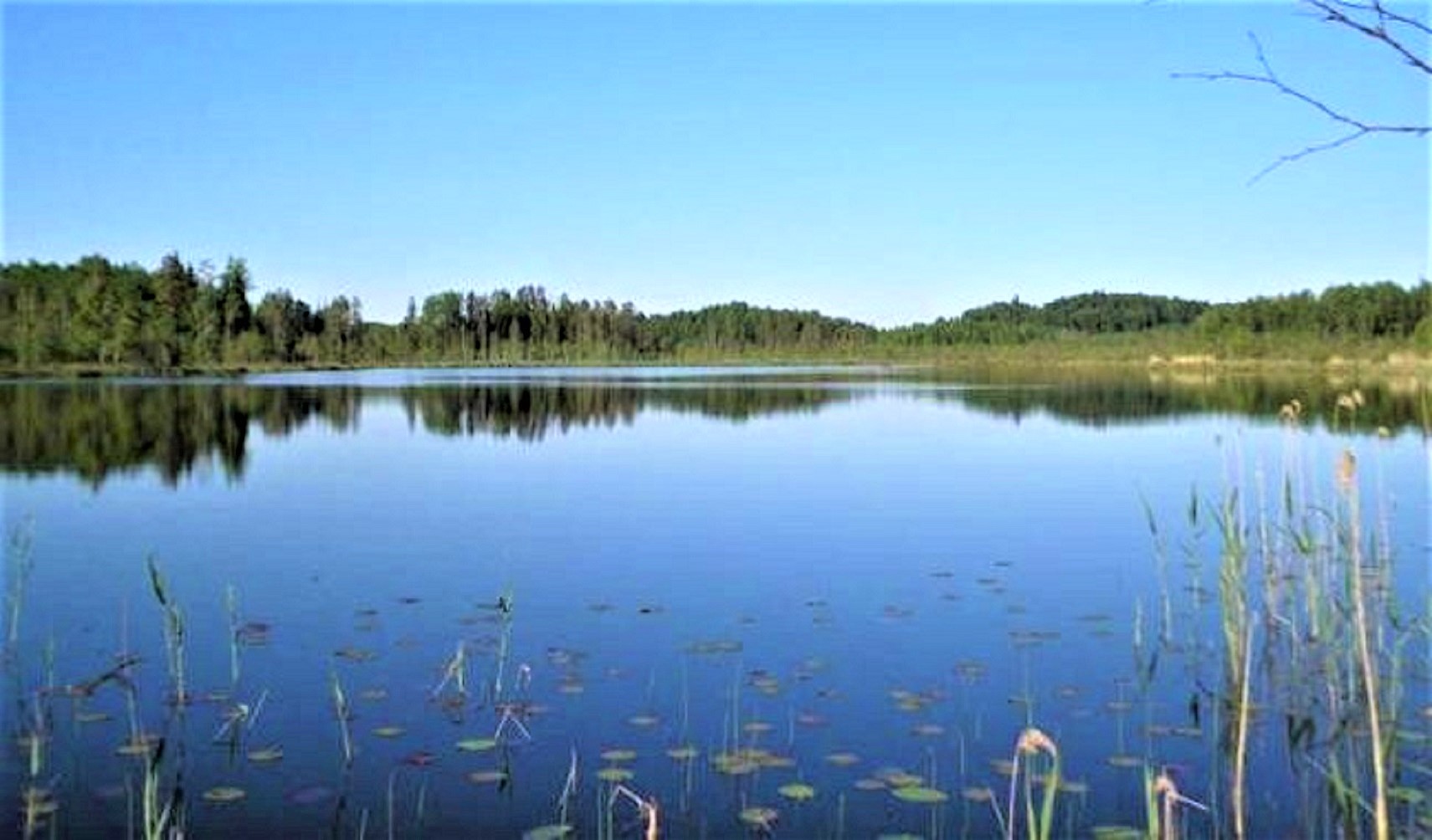Озеро Дружинное Вологодская область