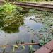 Seonyu Island Park Aquatic Botanical Garden