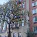 514 West 48th Street