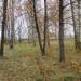 Сквер в городе Кимры