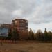 Каштановая роща в городе Славянск