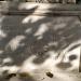 Памятный знак 100-летия геноцида армян в городе Феодосия