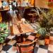Café Damberd (nl) in Ghent city