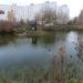 Пруд в городе Орехово-Зуево