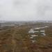 Болото в городе Рязань