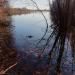 Пруд в городе Комсомольск-на-Амуре