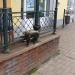 Скульптура кота в городе Ярославль