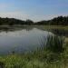 Staw Drobowizna (pl) in Tychy city