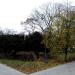 Park im. Fryderyka Chopina in Sochaczew city