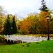 Mostek in Krokowa city