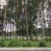 Парк у аэропорта в городе Кавалерово
